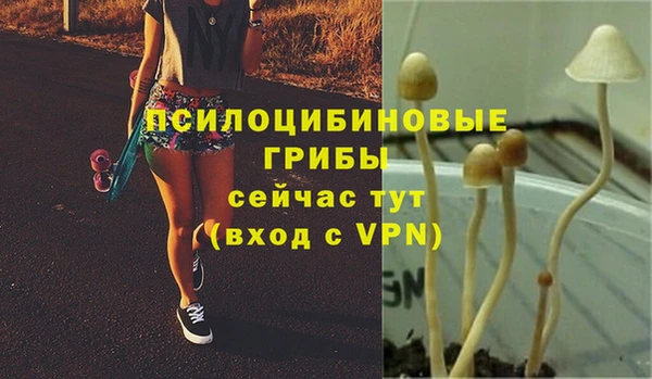 экстази Балахна
