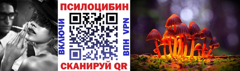 Галлюциногенные грибы ЛСД  цены наркотик  Красный Холм 